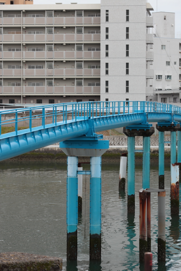 Canon EOS 5D MarkⅡ　＆　EF 135 F2L USM