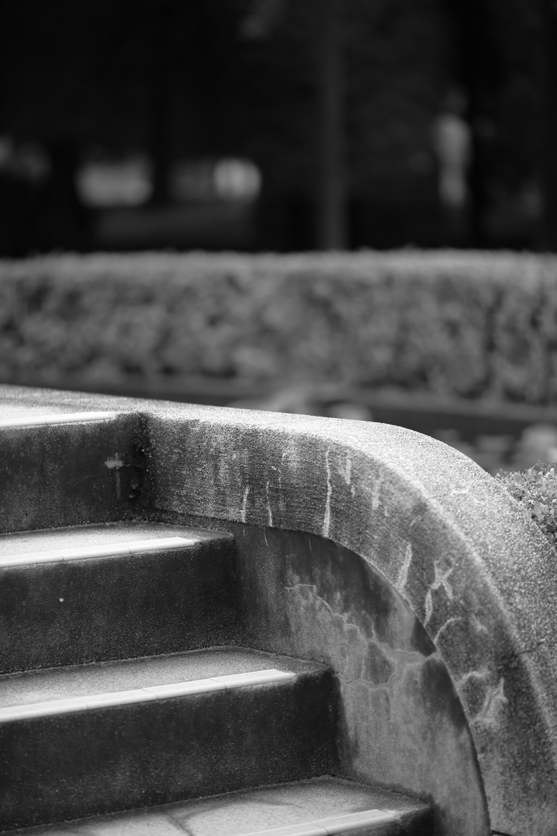 Canon EOS 5D MarkⅡ　＆　EF 135 F2L USM
