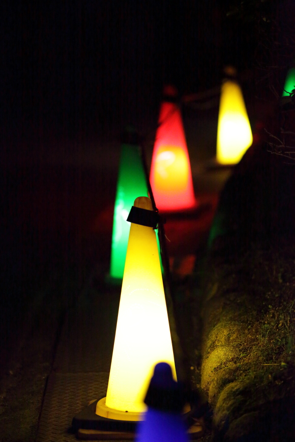 Canon EOS 5D MarkⅡ　＆　EF 135 F2L USM