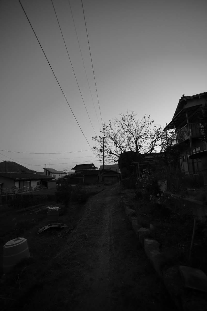 Canon EOS 5D MarkⅡ　＆　EF 17-40 F4L USM