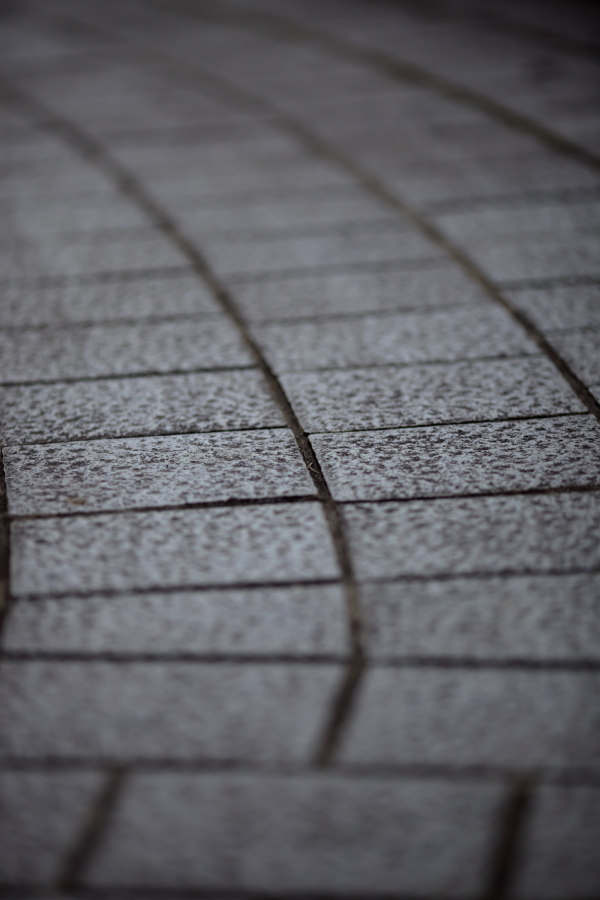 Canon EOS 5D MarkⅡ & EF 135 F2L USM