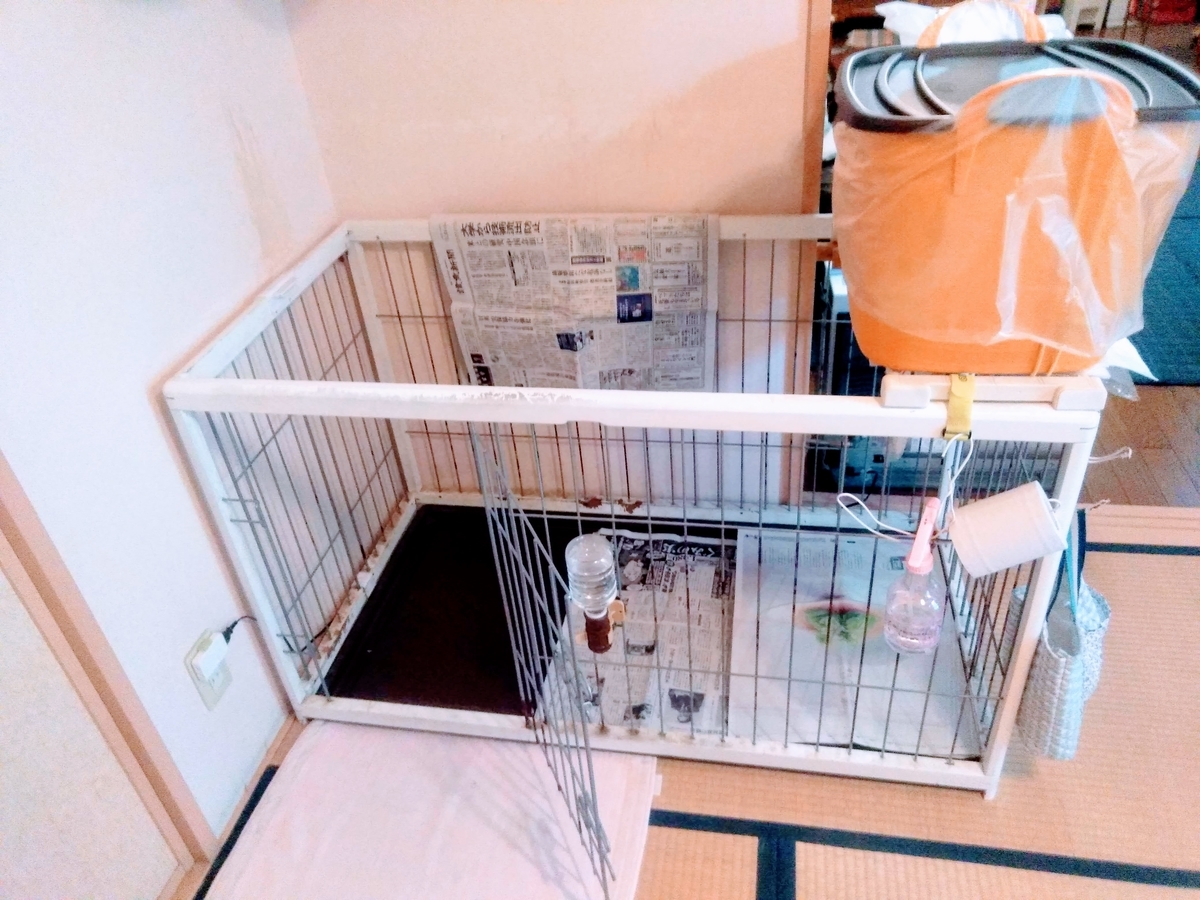 犬を飼う 便利で節約にもなるアイデア実例 住宅ローンをスピード完済した家 犬を飼う 便利で節約にもなるアイデア実例 住宅ローンをスピード完済した家