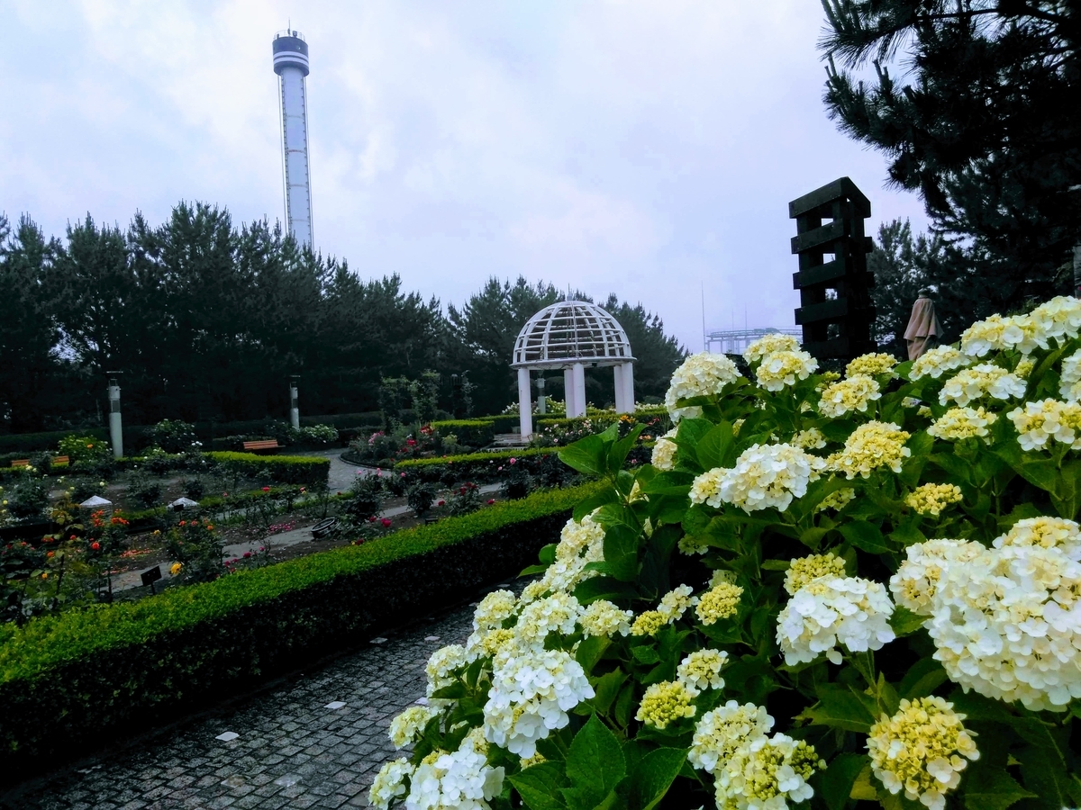 海の公園 八景島周辺 犬と一緒に楽しめるレジャーグルメスポット 住宅ローンをスピード完済した家 海の公園 八景島周辺 犬と一緒に楽しめるレジャーグルメスポット 住宅ローンをスピード完済した家