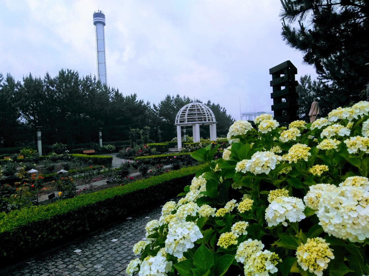八景島　丘の広場