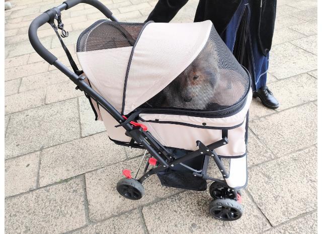 チャックを閉じたドッグカート内の犬の様子