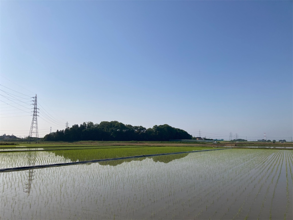 f:id:midori-kawa:20260518175848j:image f:id:midori-kawa:20260518175848j:image