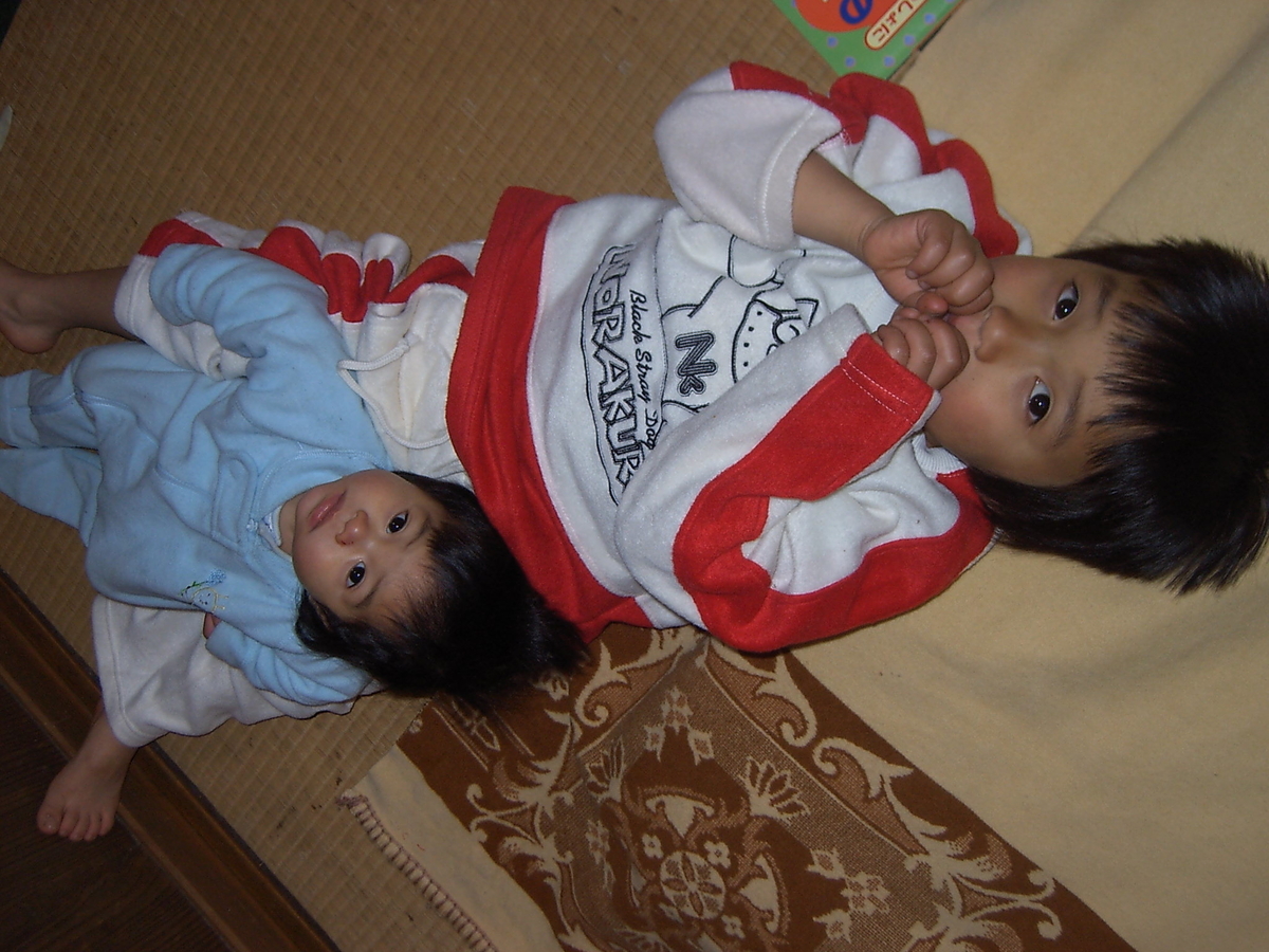 f:id:midori-yablog:20200524090237j:plain f:id:midori-yablog:20200524090237j:plain