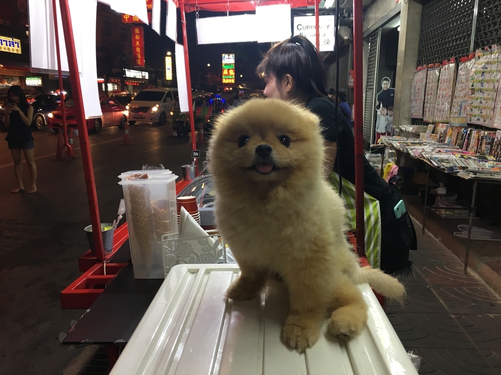 f:id:midori000:20190212003527j:plain f:id:midori000:20190212003527j:plain