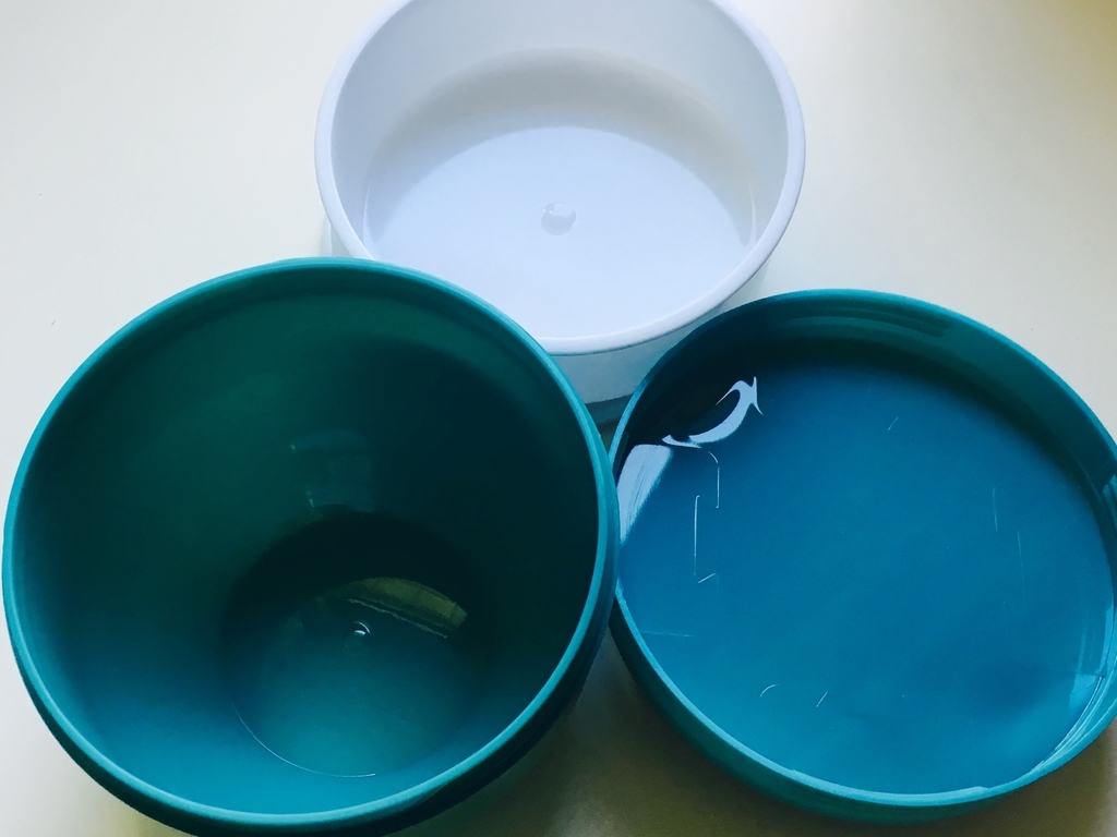 f:id:midori000:20190224225314j:plain f:id:midori000:20190224225314j:plain