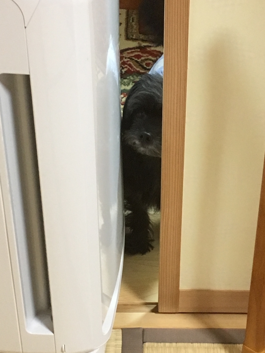 f:id:midori000:20190318230547j:plain f:id:midori000:20190318230547j:plain