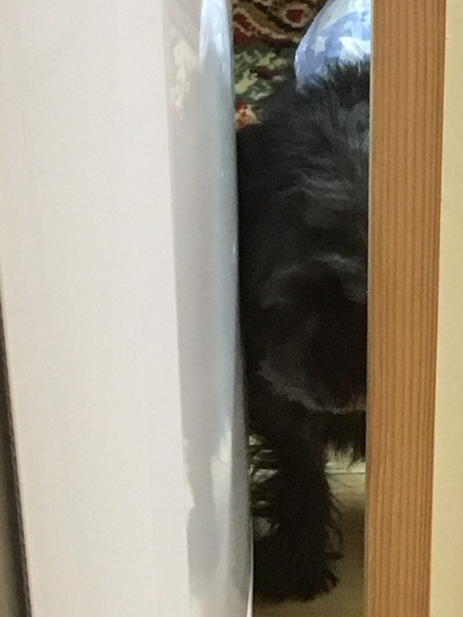 f:id:midori000:20190318230555j:plain f:id:midori000:20190318230555j:plain