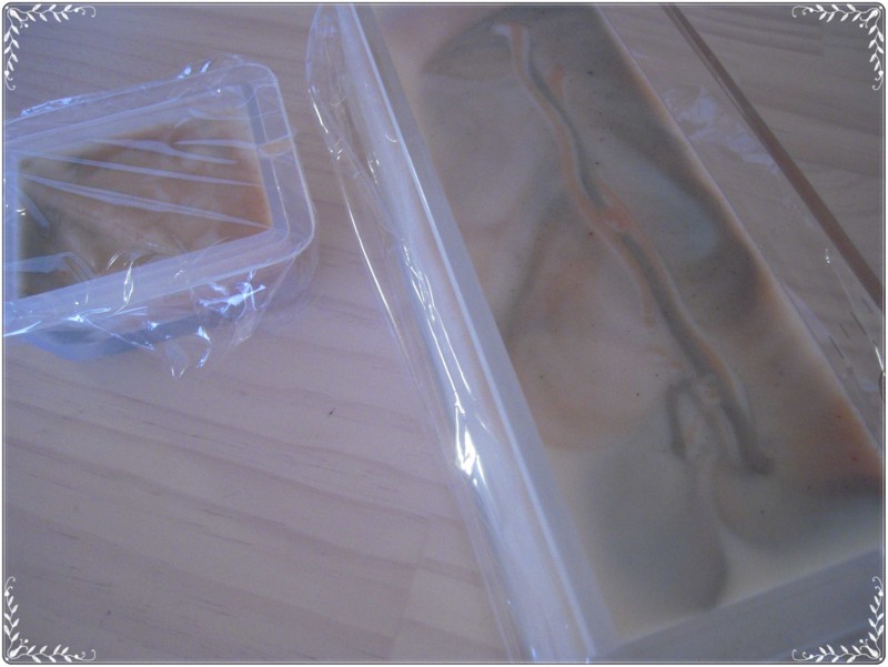 f:id:midori04:20110905104254j:image:w400