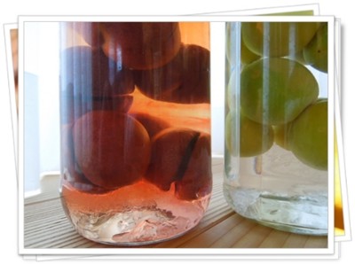 f:id:midori04:20120626074802j:image