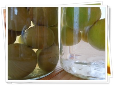 f:id:midori04:20120626074833j:image