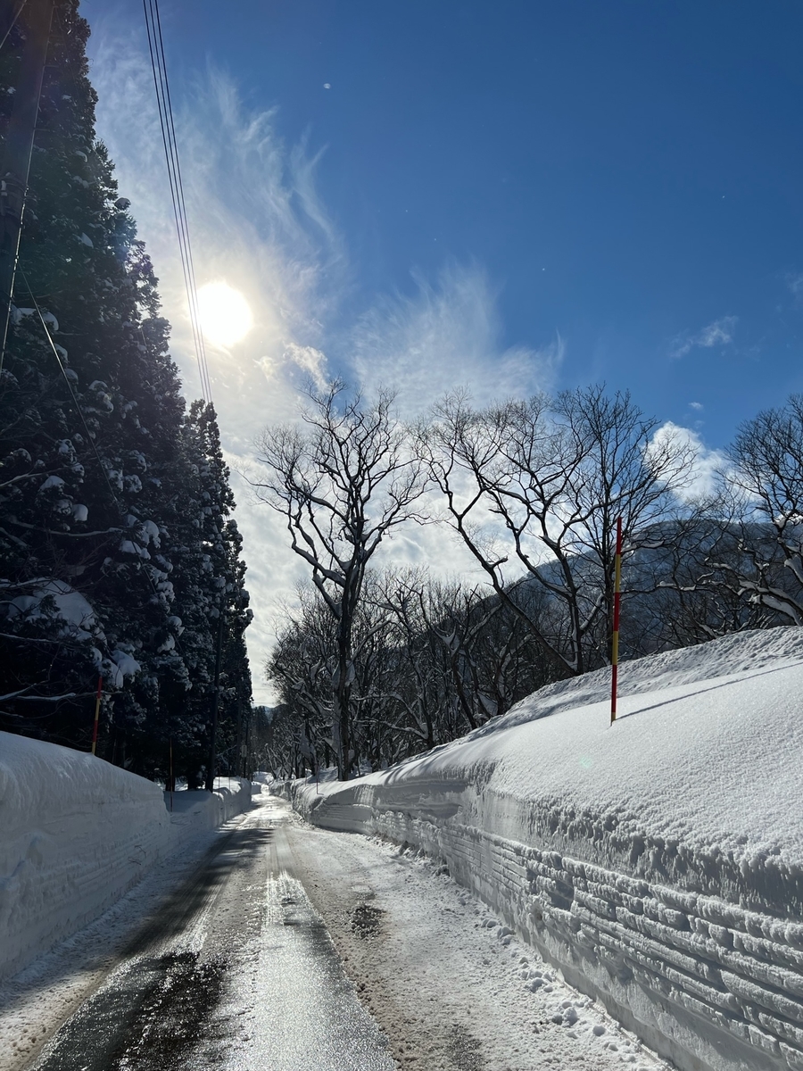 f:id:midori3118:20220202135220j:plain