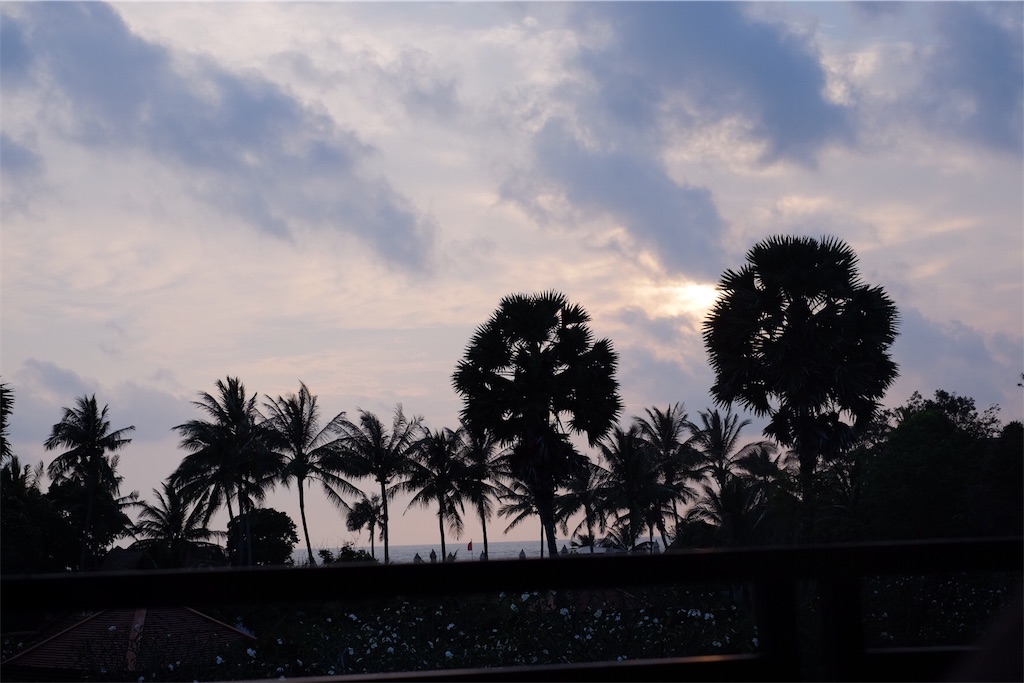 f:id:midori_niki:20161228153836j:image