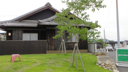 f:id:midoridou:20100710235301j:image