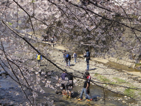 f:id:midoridou:20120408123000j:image