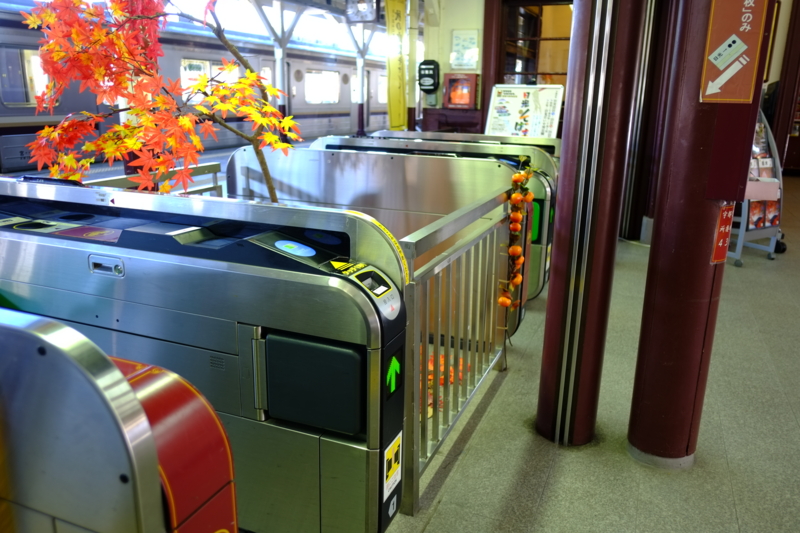 f:id:midorigameko:20131122104910j:image f:id:midorigameko:20131122104910j:image