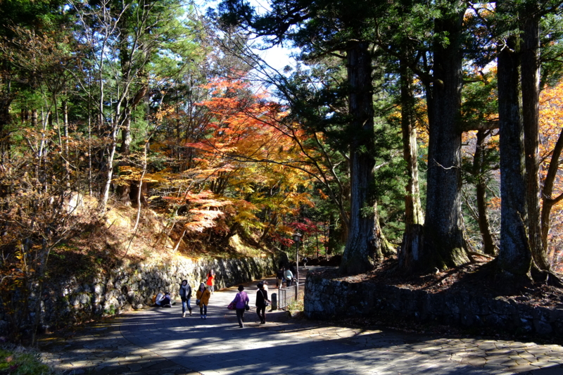 f:id:midorigameko:20131122130557j:image f:id:midorigameko:20131122130557j:image