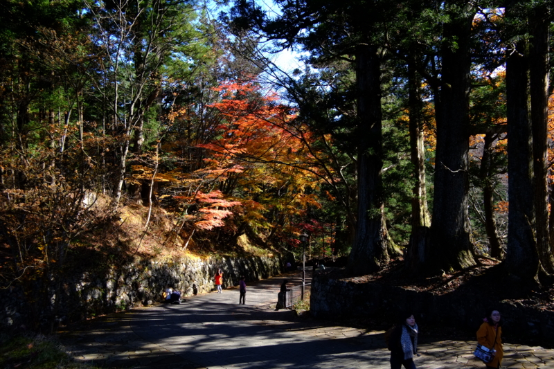 f:id:midorigameko:20131122130611j:image f:id:midorigameko:20131122130611j:image