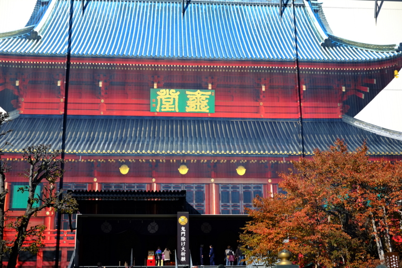 f:id:midorigameko:20131122131230j:image f:id:midorigameko:20131122131230j:image