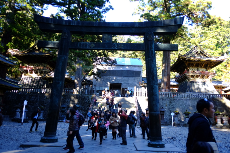 f:id:midorigameko:20131122133027j:image f:id:midorigameko:20131122133027j:image