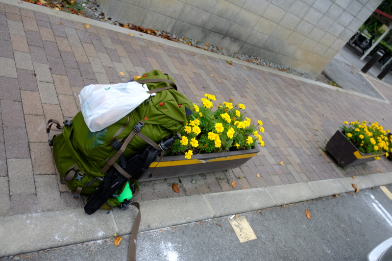 f:id:midorigameko:20140921083128j:image f:id:midorigameko:20140921083128j:image