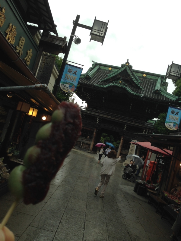 f:id:midorigameko:20150605160840j:image