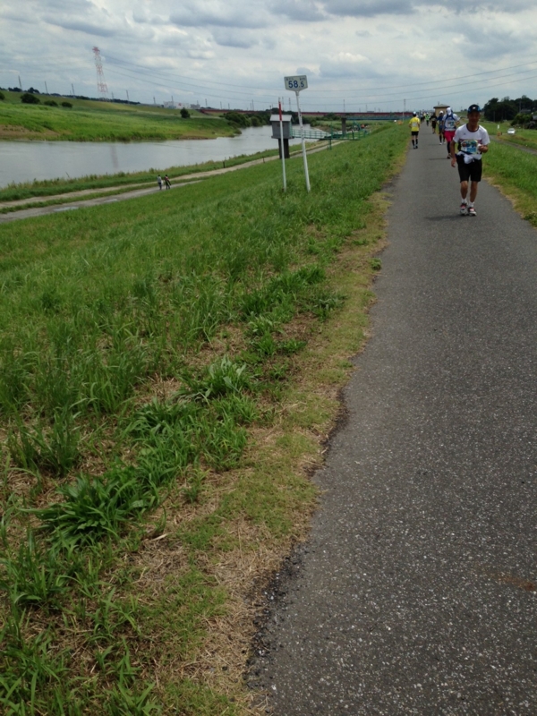 f:id:midorigameko:20150606130128j:image