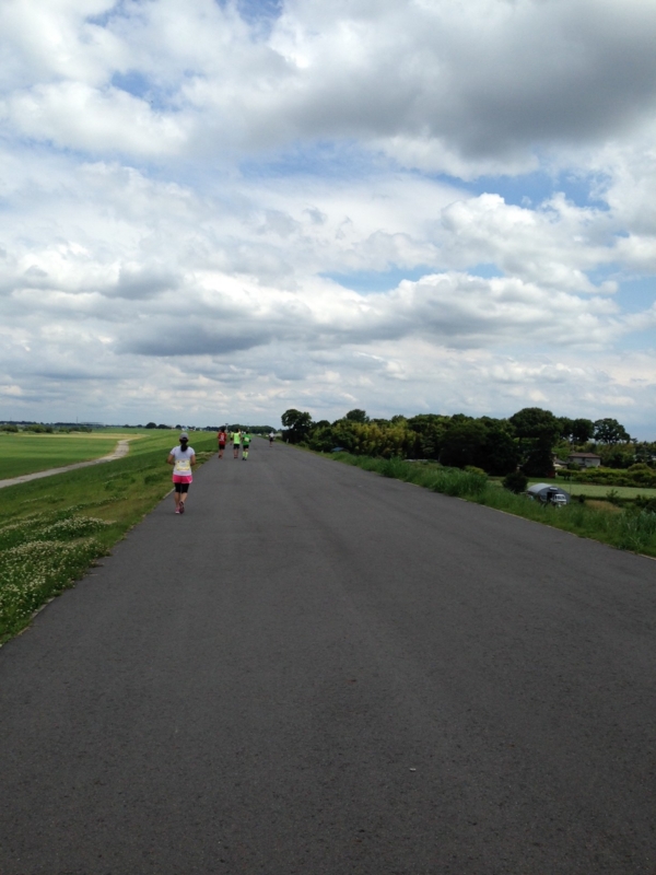 f:id:midorigameko:20150606134750j:image