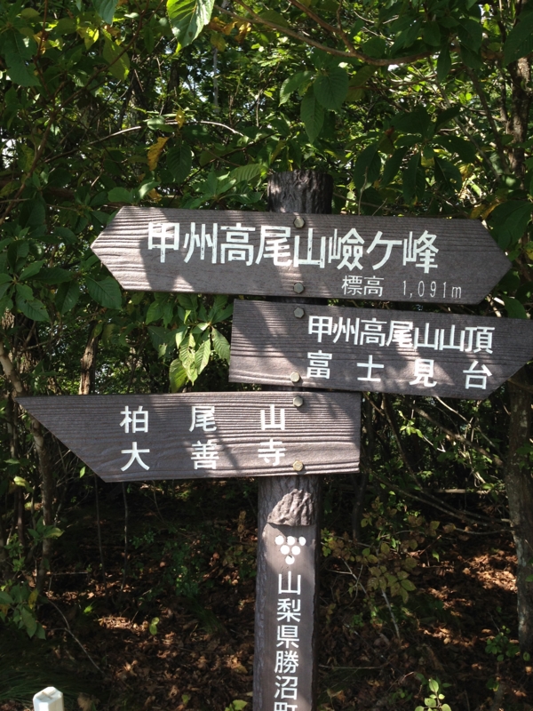 f:id:midorigameko:20150921123643j:image f:id:midorigameko:20150921123643j:image