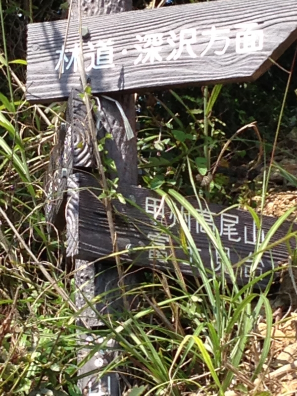 f:id:midorigameko:20150921124312j:image f:id:midorigameko:20150921124312j:image