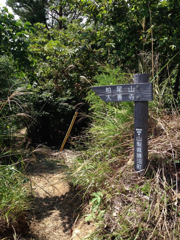 f:id:midorigameko:20150921124329j:image f:id:midorigameko:20150921124329j:image