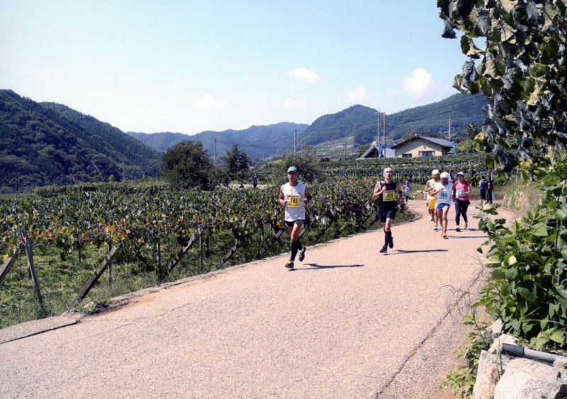 f:id:midorigameko:20151116102543j:image f:id:midorigameko:20151116102543j:image