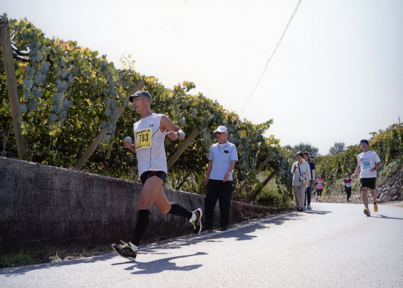 f:id:midorigameko:20151116103137j:image f:id:midorigameko:20151116103137j:image