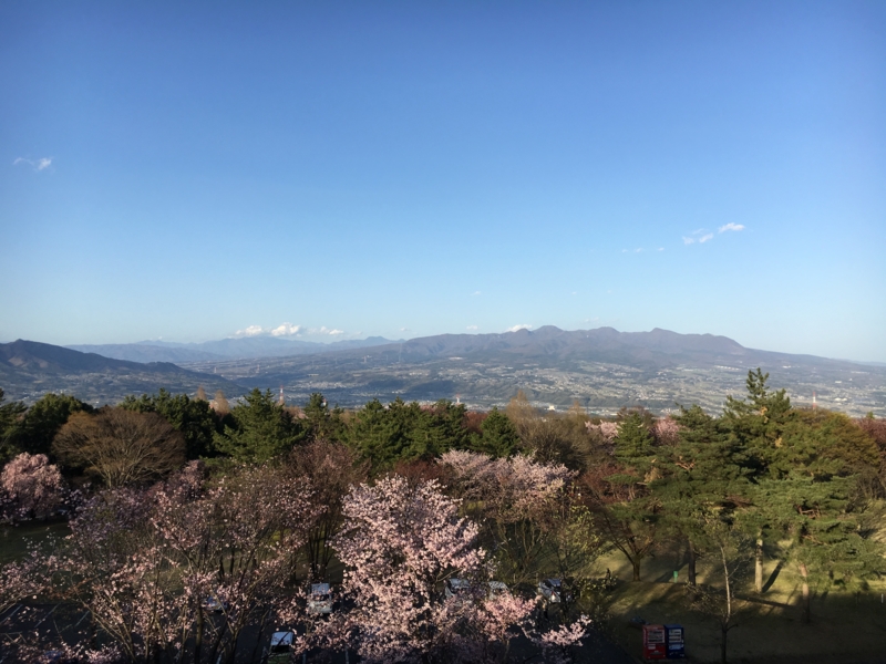 f:id:midorigameko:20160512153612j:image