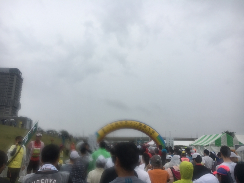 f:id:midorigameko:20171108205241j:image