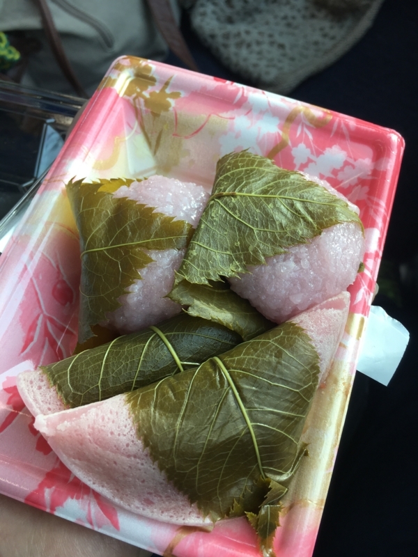 f:id:midorigameko:20180305210332j:image