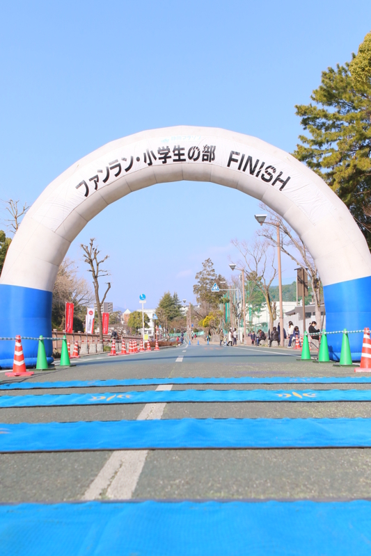 f:id:midorigameko:20180309131653j:image