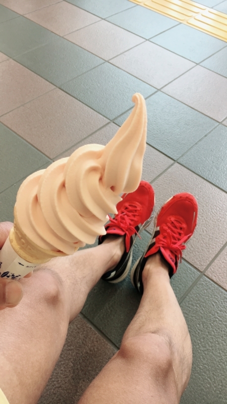 f:id:midorigameko:20180605150923j:image