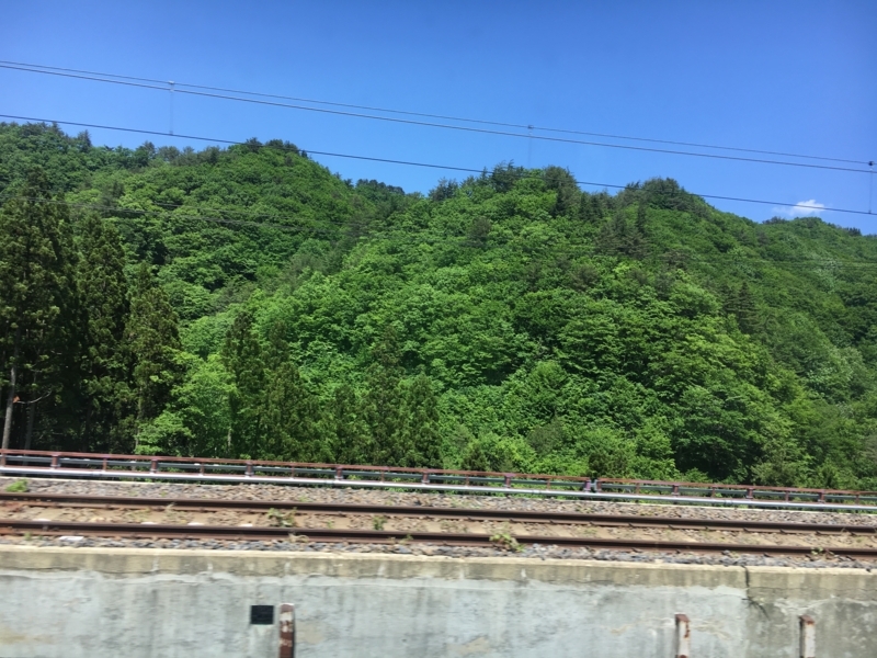 f:id:midorigameko:20180605150932j:image