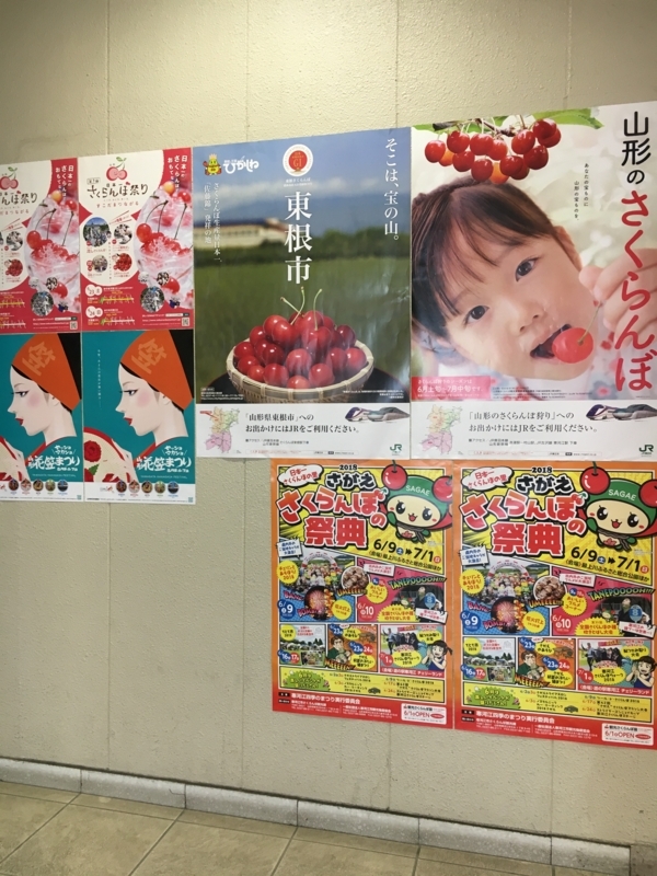 f:id:midorigameko:20180605150938j:image