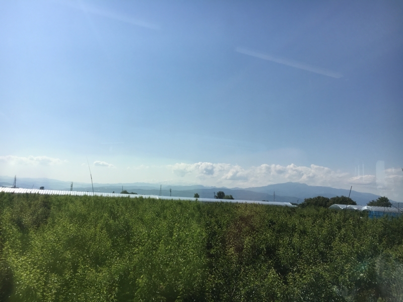 f:id:midorigameko:20180605150943j:image