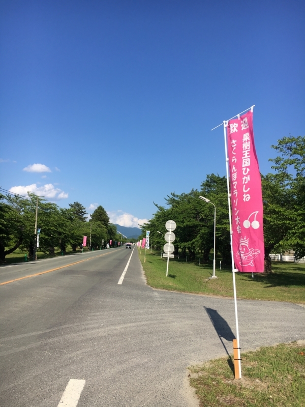 f:id:midorigameko:20180605150955j:image