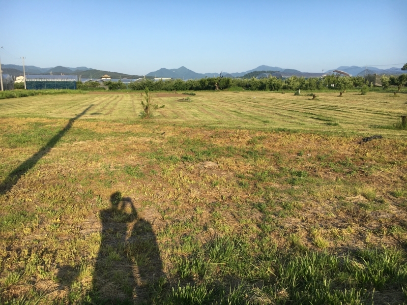 f:id:midorigameko:20180605151004j:image