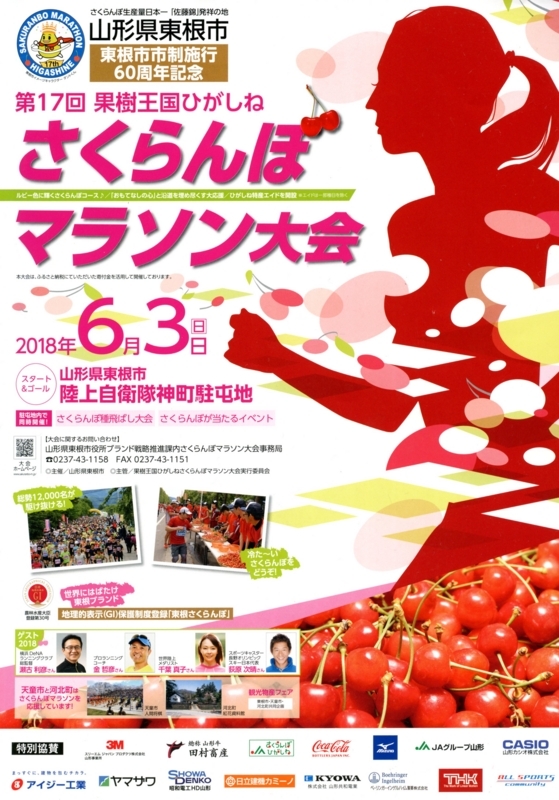 f:id:midorigameko:20180608142653j:image