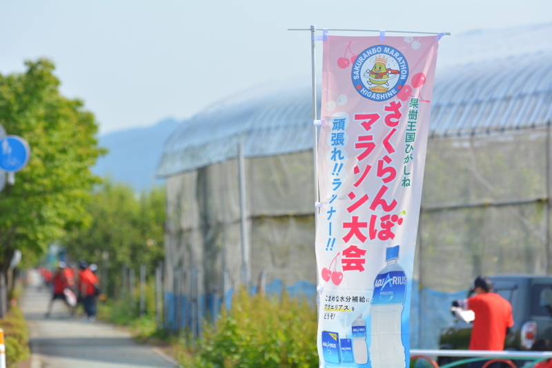 f:id:midorigameko:20180608143009j:image