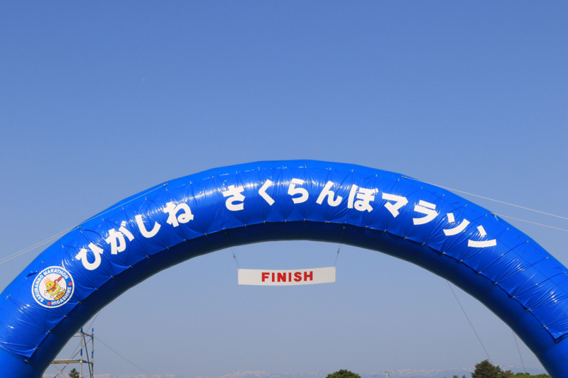 f:id:midorigameko:20180608143028j:image