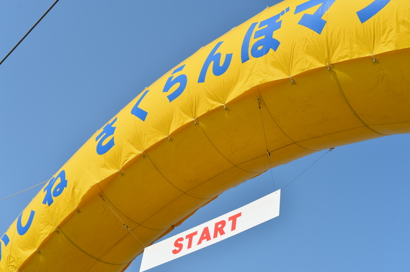 f:id:midorigameko:20180608143039j:image